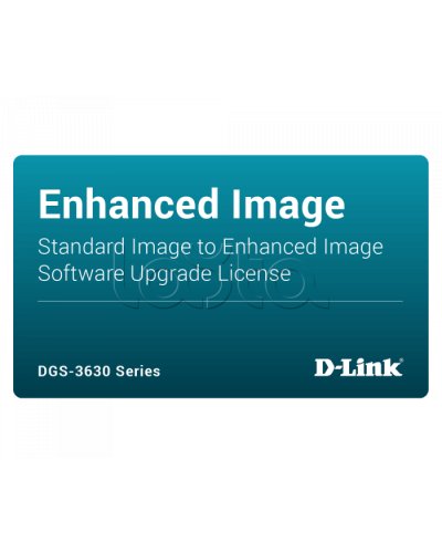 ПО D-Link DGS-3630-28PC-SE-LIC в Братске Беспроводное оборудование Pintop.ru