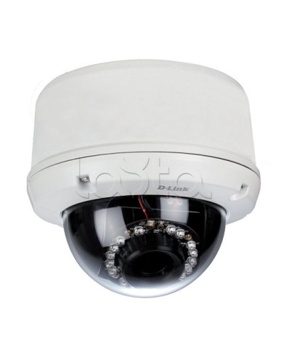 IP-камера видеонаблюдения уличная купольная D-Link DCS-6510/EP в Братске IP-камеры Pintop.ru