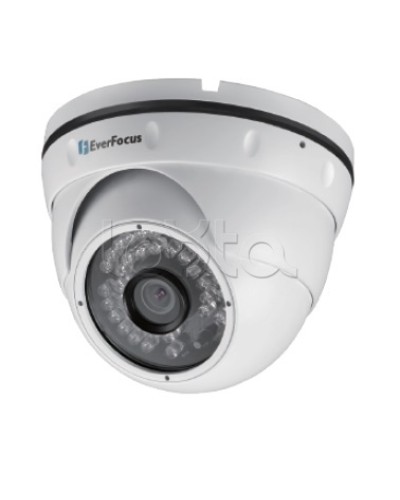 IP-камера видеонаблюдения уличная купольная EverFocus EBN-268 в Братске IP-камеры Pintop.ru